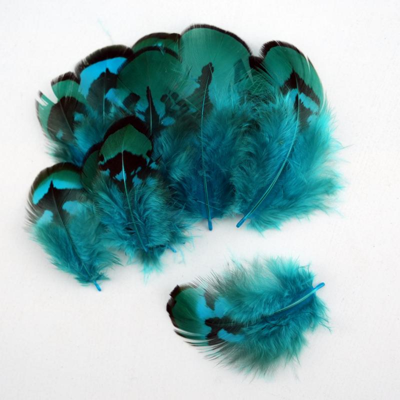 Natural DIY Pheasant Feathers  - огляд і ціна Wedding Supply In Bulk
