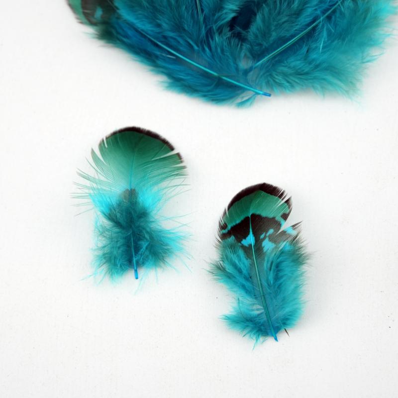 Natural DIY Pheasant Feathers  - огляд і ціна Wedding Supply In Bulk